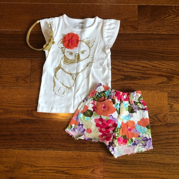 Gymboree Other - Gymboree Koala Outfit 4/5